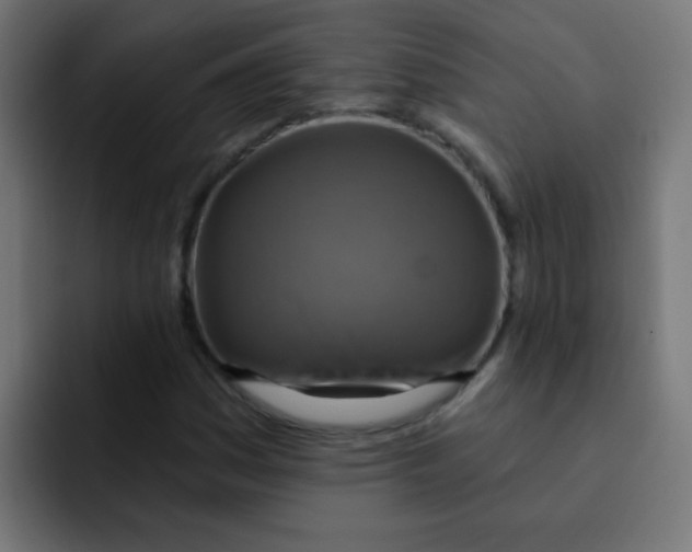 X0000092031161200710041056