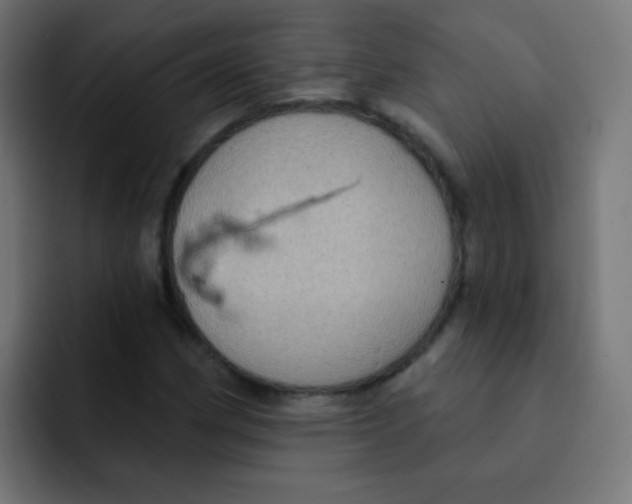 X0000092031162200710041056