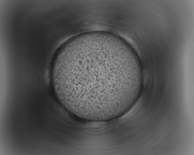 X0000092031163200710041056