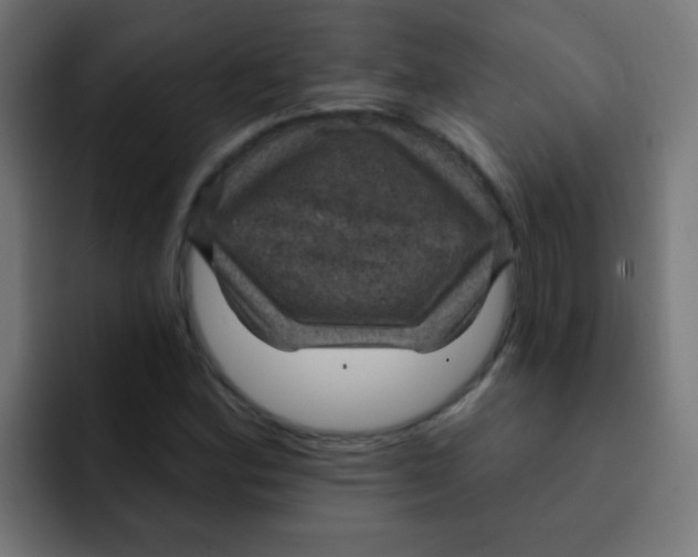 X0000092031164200710041056