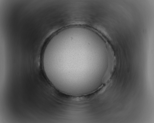 X0000092031165200710041056