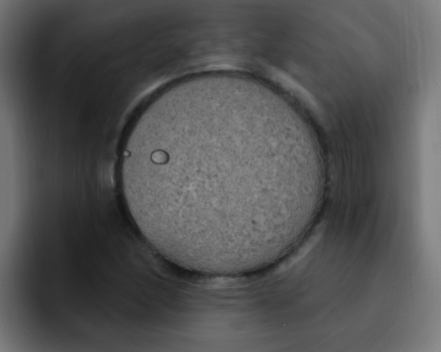 X0000092031166200710041056