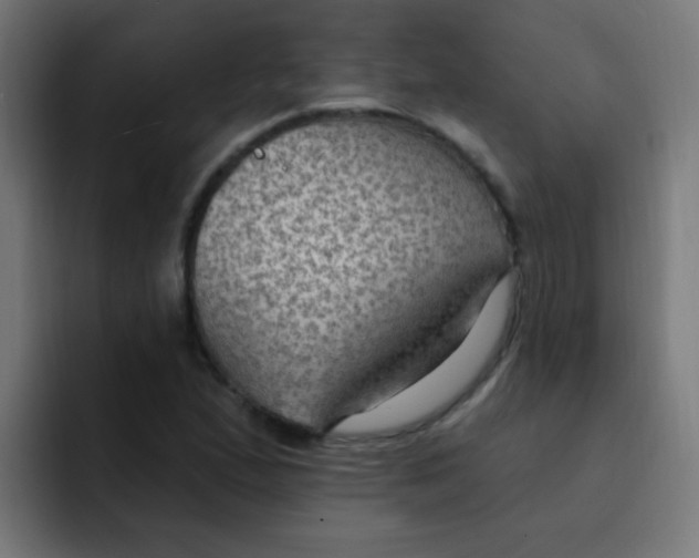 X0000092031167200710041056