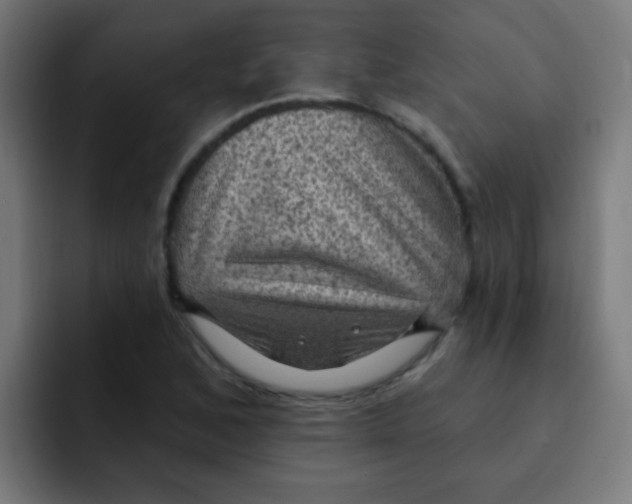 X0000092031168200710041056