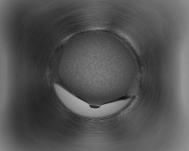 X0000092031169200710041056