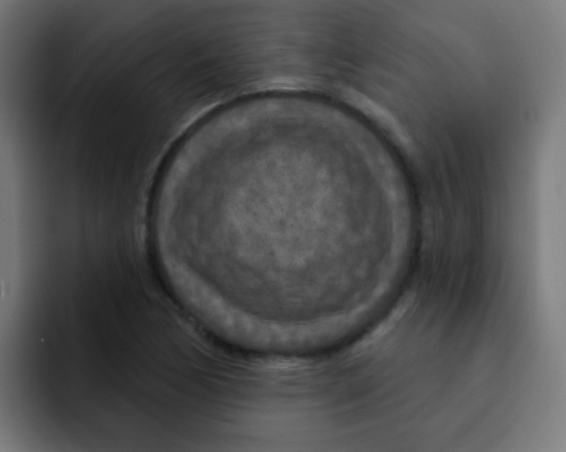 X0000092031170200710041056