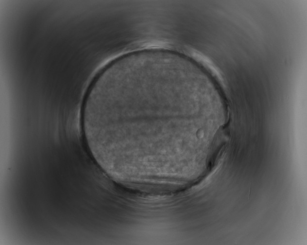 X0000092031174200710041056