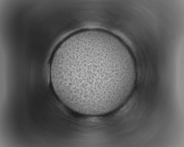 X0000092031175200710041056