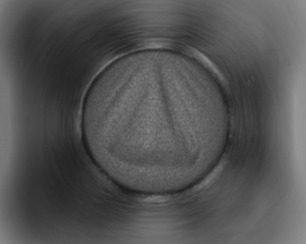 X0000092031178200710041056