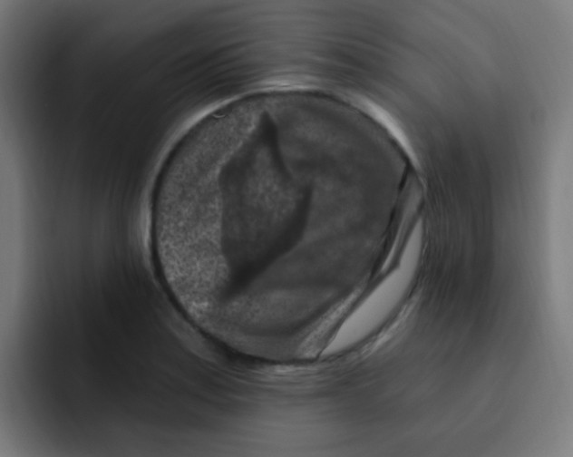 X0000092031179200710041056