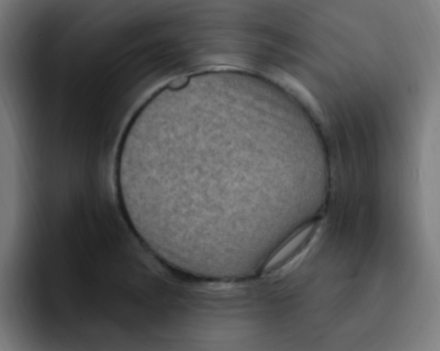 X0000092031182200710041056