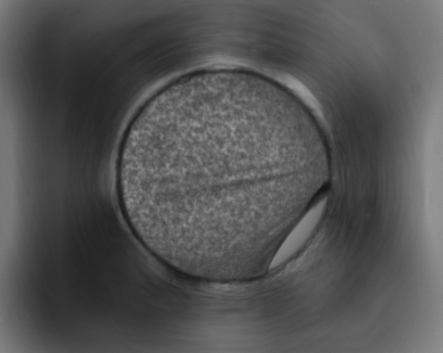 X0000092031183200710041056