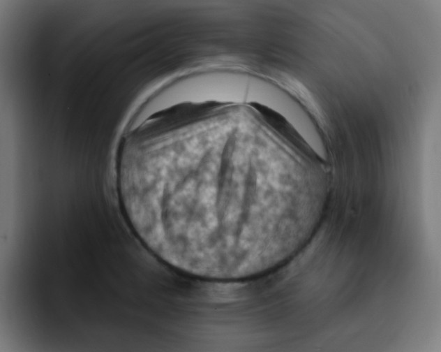 X0000092031184200710041056