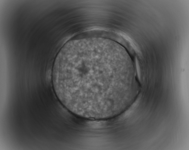 X0000092031185200710041056