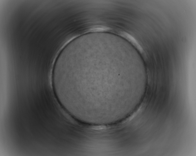 X0000092031186200710041056