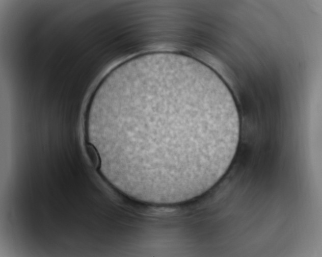 X0000092031187200710041056