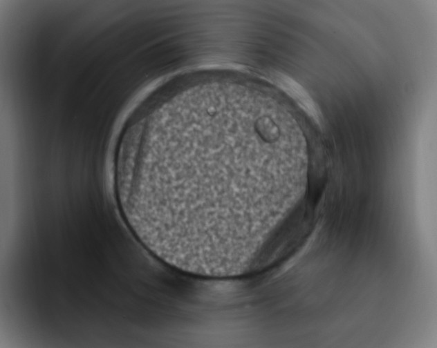 X0000092031188200710041056