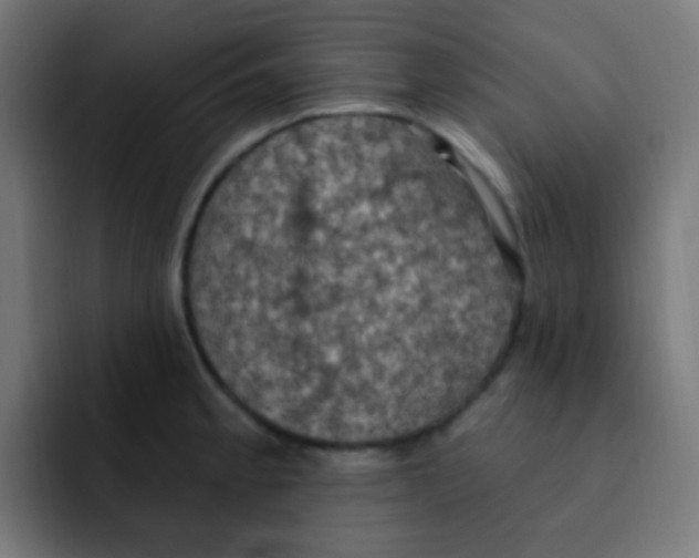 X0000092031189200710041056