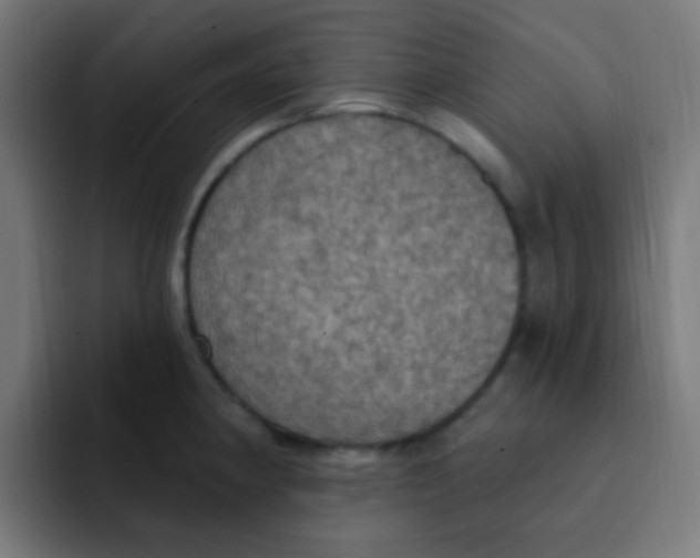 X0000092031190200710041056