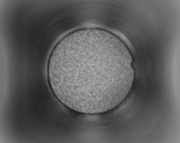 X0000092031191200710041056