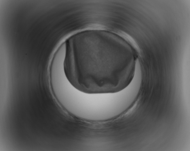 X0000092031192200710041056