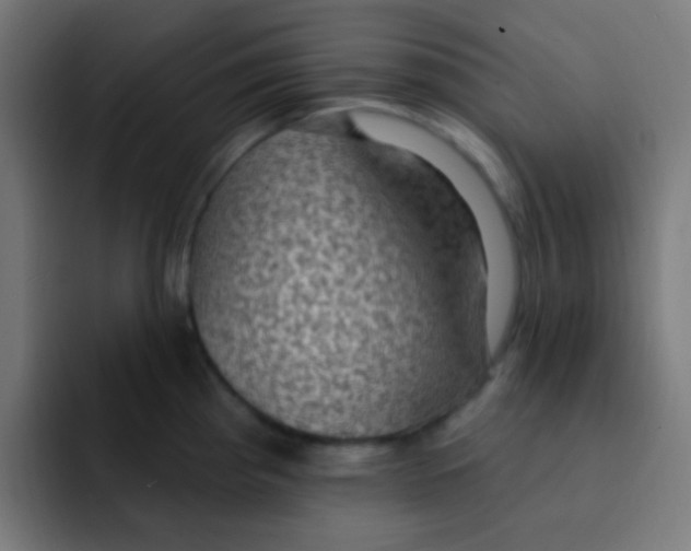 X0000092031193200710041056