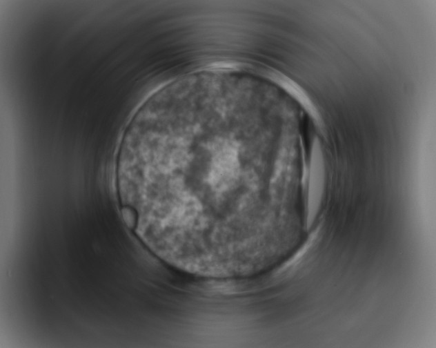 X0000092031194200710041056