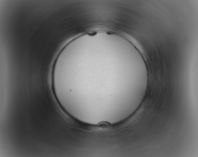 X0000092031195200710041056