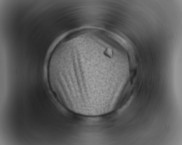 X0000092031196200710041056