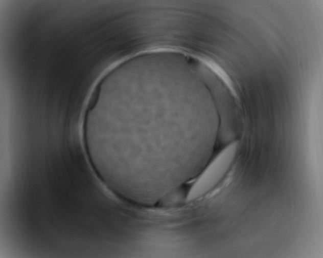 X0000092031197200710041056