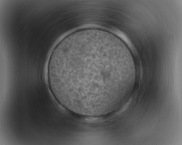 X0000092031199200710041056