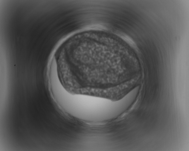 X0000092031200200710041056