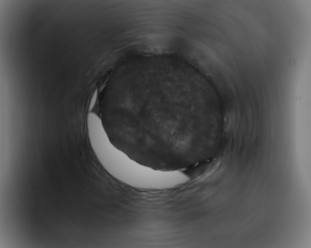 X0000092031202200710041055