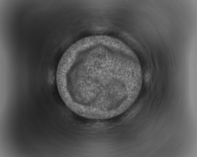 X0000092031204200710041055