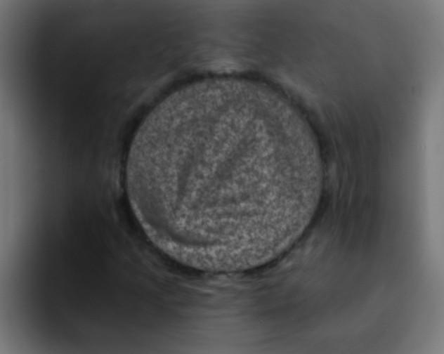 X0000092031205200710041055