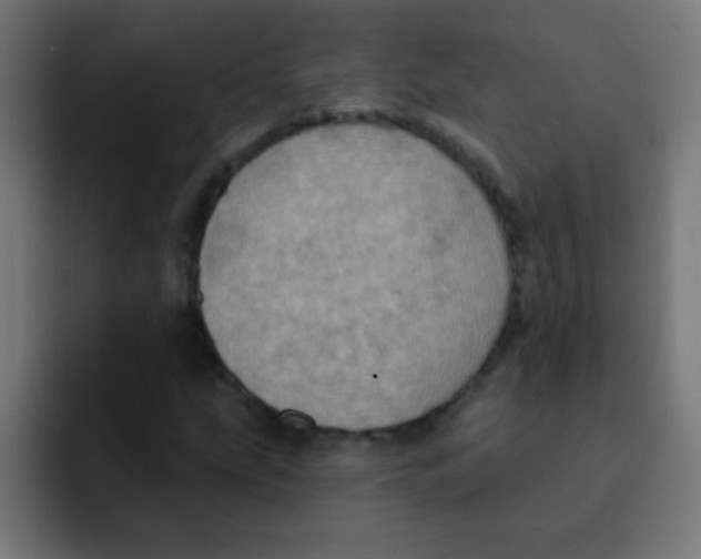 X0000092031207200710041055