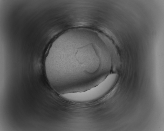 X0000092031210200710041055