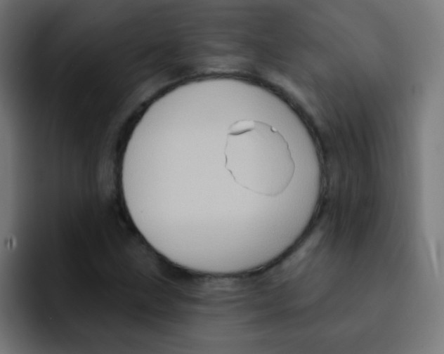 X0000092031211200710041055