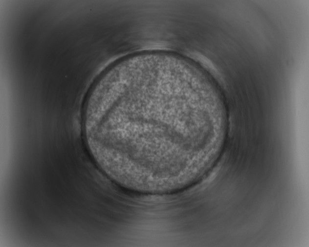 X0000092031212200710041055