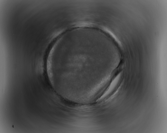 X0000092031213200710041055