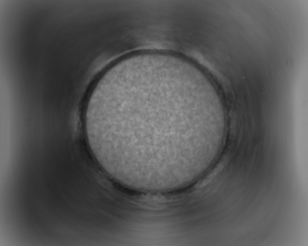 X0000092031215200710041055