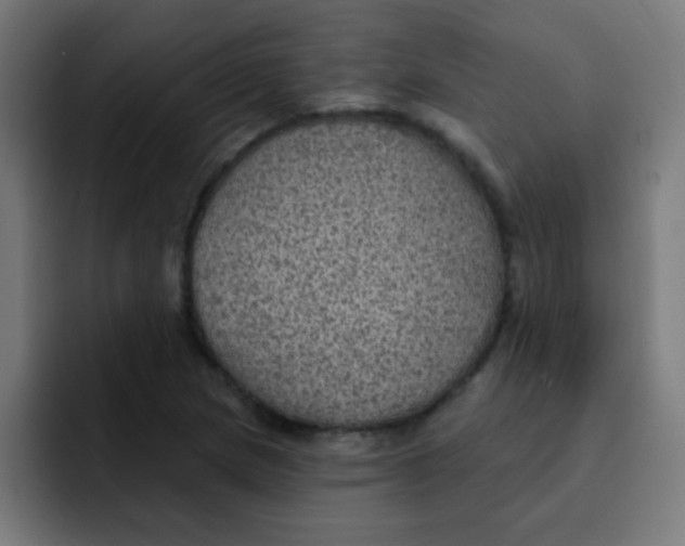 X0000092031217200710041055