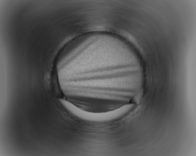 X0000092031218200710041055