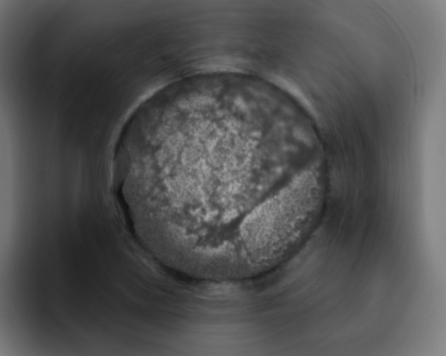 X0000092031219200710041055