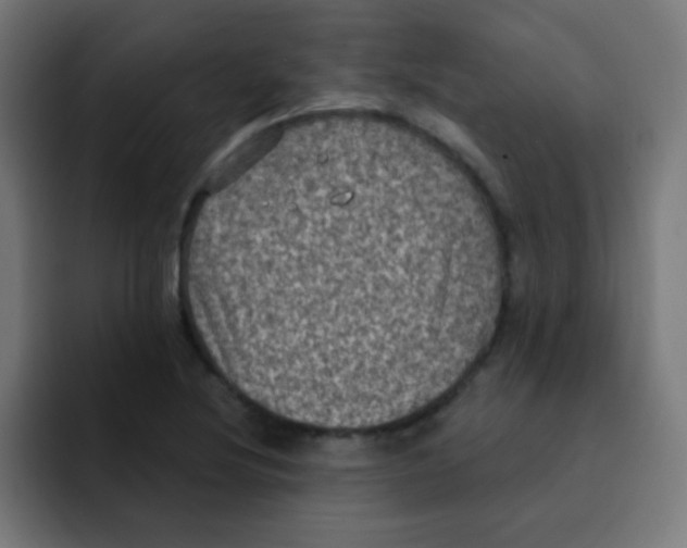 X0000092031220200710041055