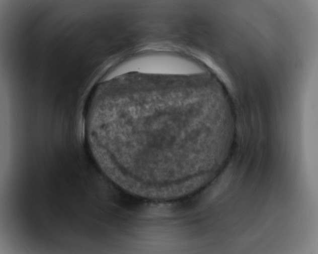 X0000092031221200710041055