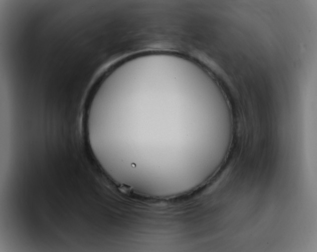 X0000092031222200710041055