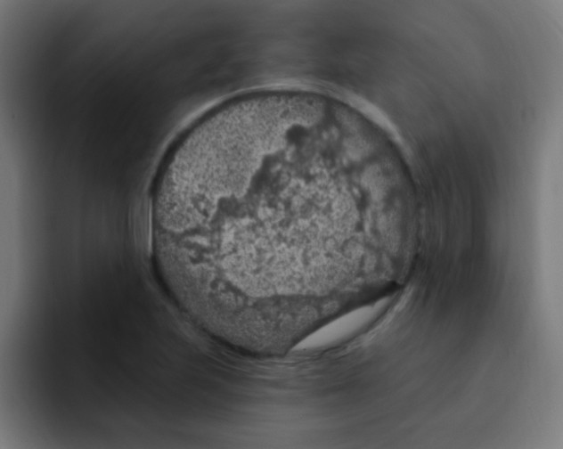 X0000092031223200710041055