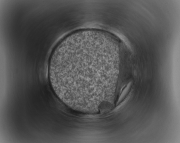 X0000092031224200710041055