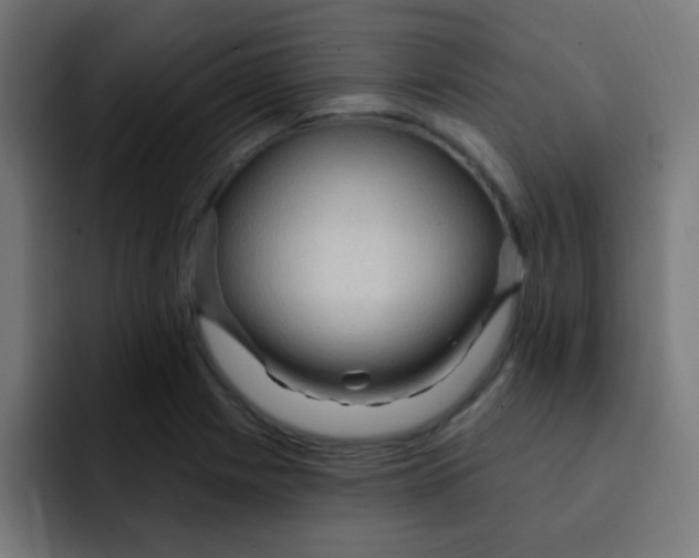 X0000092031225200710041055